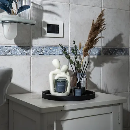 Attico Elegante Con Terrazza Panoramica, In Centro Appartamento Piacenza